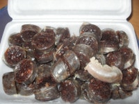 오늘의 야식 떡순이 - 뽐뿌:자유갤러리 오늘의 야식 떡순이