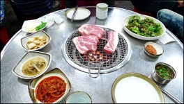 (울산)..제주 돈돼지..달려봅니다 . - 뽐뿌:자유갤러리 (울산)..제주 돈돼지..달려봅니다 .