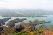 얼마전에 다녀온 악어섬 - 뽐뿌:자유갤러리 얼마전에 다녀온 악어섬