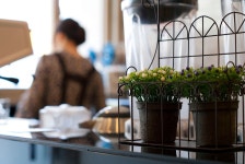 카페에서... - 뽐뿌:자유갤러리 카페에서...