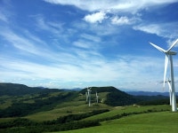 삼양목장이에요 - 뽐뿌:자유갤러리 삼양목장이에요