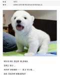 멍멍이갤러리의 흔한 호구 - 뽐뿌:자유게시판 멍멍이갤러리의 흔한 호구