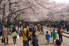 경화역 - 뽐뿌:자유갤러리 경화역