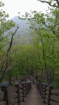 2013.05.11~12 양자산-앵자봉-무갑산 산행후기 - 뽐뿌:등산포럼 2013.05.11~12 양자산-앵자봉-무갑산 산행후기
