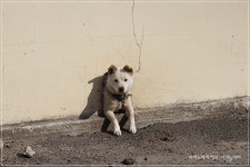 개구멍을 아십니까? - 뽐뿌:자유갤러리 개구멍을 아십니까?