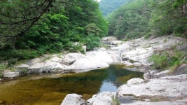 울진 구수곡 자연휴양림 바다와 계곡 - 뽐뿌:캠핑포럼 울진 구수곡 자연휴양림 바다와 계곡