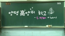 동물농장 고양이 대가족 - 뽐뿌:동식물포럼 동물농장 고양이 대가족