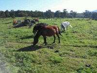 제주도 2소 학원 정보입니다. - 뽐뿌:바이크포럼 제주도 2소 학원 정보입니다.