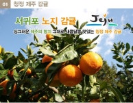 [11번가] 노지감귤 10KG 서귀포 감귤 대용량 특가 (6,900원/무료)... [11번가] 노지감귤 10KG 서귀포 감귤 대용량 특가 (6,900원/무료)