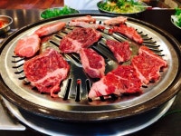 공룡고기 - 뽐뿌:자유갤러리 공룡고기