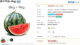 8포병단마트 | [롯데마트몰] 왕수박(8~9kg) (10000/4000)-무배쿠폰이 기본1장은 있음+추가세일정보 - 뽐뿌:뽐뿌게시판 [롯데마트몰] 왕수박(8~9kg) (10000...