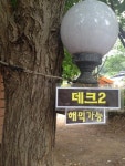 최린이 님이 나눔해 주셔서 다녀온 김포 범바위 가족 정원 캠핑장. - 뽐뿌:캠핑포럼 최린이 님이 나눔해 주셔서 다녀온 김포 범바위 가족 정원... 