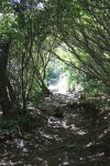9 남양주 운길산~적갑산~예봉산 연계산행(운길산역~수종사~절상봉~운길산 정상~새재고개 사거리~적갑산 정상~칠문봉~예봉산 정상~팔당2리... 