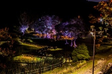 [40D] 대전 추동 생태공원 다녀왔네요 - 뽐뿌:사진/카메라 [40D]  대전 추동 생태공원 다녀왔네요