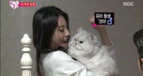 어제 유결에서 유라네 고양이 귀엽네용.. - 뽐뿌:자유게시판 어제 유결에서 유라네 고양이 귀엽네용..