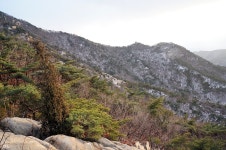 6 관악산 도둑산행 (호수공원~제4야영장~삼거리약수터~무너미고개~학바위능선~학바위국기봉~버섯바위능선~호수공원) - 뽐뿌:등산포럼 14. 12. 6... 