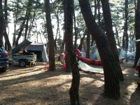 하나율님과 함께한 바다솔 캠핑장 후기 - 뽐뿌:캠핑포럼 하나율님과 함께한 바다솔 캠핑장 후기