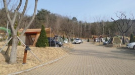 3월21~22일 1박2일 울산 입화산 참살이숲 야영장 후기 - 뽐뿌:캠핑포럼 3월21~22일 1박2일 울산 입화산 참살이숲 야영장 후기