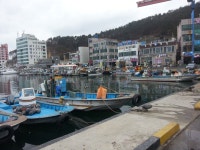 기장 대변항 - 뽐뿌:자유갤러리 기장 대변항