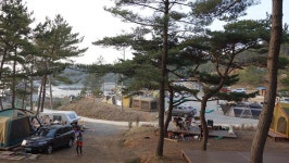 지난 주말 태안 둘레길캠핑장 다녀왔습니다. - 뽐뿌:캠핑포럼 지난 주말 태안 둘레길캠핑장 다녀왔습니다.