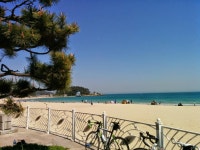 송정 해수욕장 다녀왔습니다.ㅎ - 뽐뿌:자전거포럼 송정 해수욕장 다녀왔습니다.ㅎ