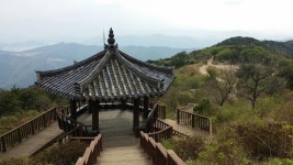 김해 신어산에 와 있습니다 - 뽐뿌:등산포럼 김해 신어산에 와 있습니다