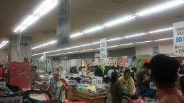 신성통상 본사 털었습니다 ㅎㅎ - 뽐뿌:자유게시판 신성통상 본사 털었습니다 ㅎㅎ