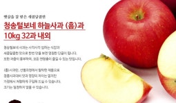 [G마켓] 청송털보네사과 10kg내외 25~32과(흠과) (28,900/무료)... [G마켓] 청송털보네사과 10kg내외 25~32과(흠과) (28,900/무료)