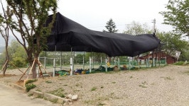 콜맨 레이타프 사용 후기입니다(2015.5.15. 양평 드림캠핑장) - 뽐뿌:캠핑포럼 콜맨 레이타프 사용 후기입니다(2015.5.15. 양평 드림캠핑장)