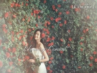 [직거래웨딩] 라망스튜디오 리허설 패키지 - 뽐뿌:웨딩상담 [직거래웨딩] 라망스튜디오 리허설 패키지