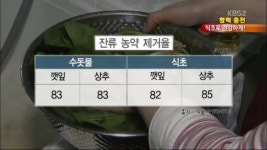 식초로 곰팡이 제거 효과 無 0점~ - 뽐뿌:자유게시판 식초로 곰팡이 제거 효과 無 0점~