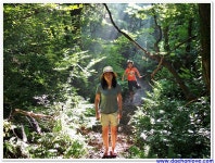 교래자연휴양림캠핑장, 교래자연휴양림 캠핑후기 그리고 집으로....... - 뽐뿌:캠핑포럼 2015년 23번째 제주도캠핑 5일차 - 교래자연휴양림캠... 