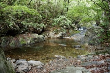 집다리골 휴양림에서 자연과 함께한 시간 - 뽐뿌:캠핑포럼 집다리골 휴양림에서 자연과 함께한 시간