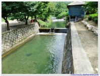 2015년 24번째 캠핑 - 재오픈한 경기도 연천 에브라임캠핑장... 캠핑 - 재오픈한 경기도 연천 에브라임캠핑장 캠핑후기 ( with. 애셔님가족 )