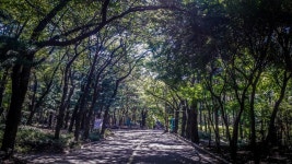 관악산(삼성산)의 시크릿가든... - 뽐뿌:등산포럼 관악산(삼성산)의 시크릿가든...