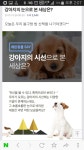강아지가 보는 세상은 어떨까요? - 뽐뿌:동식물포럼 강아지가 보는 세상은 어떨까요?