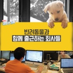 반려동물과 함께 출근하는 회사들..부럽 - 뽐뿌:동식물포럼 반려동물과 함께 출근하는 회사들..부럽