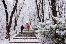28 보라매 둘레길 와우산 눈꽃산책(와우산 약수터~보라매 둘레길~서울남부수도사업소) - 뽐뿌:등산포럼 16. 2. 28 보라매 둘레길 와우산... 