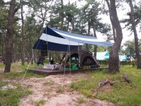 연곡 솔향기 캠핑장 왔어요 - 뽐뿌:캠핑포럼 연곡 솔향기 캠핑장 왔어요