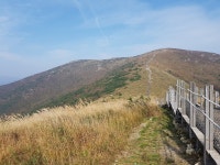 2016/10/15 거북이 영남알프스산행, 배내고개-배내봉-간월산-신불산-영축산-함박등-통도사 - 뽐뿌:등산포럼 2016/10/15 거북이 영남알프스산행... 