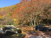 포항 운제산장 전세캠^^ - 뽐뿌:캠핑포럼 포항 운제산장 전세캠^^