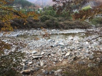주말 급캠후기~ 포항 운제산장 - 뽐뿌:캠핑포럼 주말 급캠후기~ 포항 운제산장