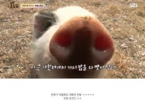 주변에 있는 민지한테 보여주세요. - 뽐뿌:유머/감동 주변에 있는 민지한테 보여주세요.