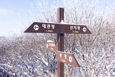 15 순백의 평원, 선자령 풍차길(대관령 휴게소~KT송신탑~동해전망대~새봉~선자령~샘터~풍해조림지~양떼목장~대관령 휴게소) - 뽐뿌... 