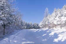 15 순백의 평원, 선자령 풍차길(대관령 휴게소~KT송신탑~동해전망대~새봉~선자령~샘터~풍해조림지~양떼목장~대관령 휴게소) - 뽐뿌... 