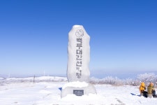 15 순백의 평원, 선자령 풍차길(대관령 휴게소~KT송신탑~동해전망대~새봉~선자령~샘터~풍해조림지~양떼목장~대관령 휴게소) - 뽐뿌... 