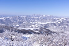 15 순백의 평원, 선자령 풍차길(대관령 휴게소~KT송신탑~동해전망대~새봉~선자령~샘터~풍해조림지~양떼목장~대관령 휴게소) - 뽐뿌... 