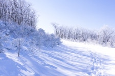 15 순백의 평원, 선자령 풍차길(대관령 휴게소~KT송신탑~동해전망대~새봉~선자령~샘터~풍해조림지~양떼목장~대관령 휴게소) - 뽐뿌... 