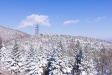 15 순백의 평원, 선자령 풍차길(대관령 휴게소~KT송신탑~동해전망대~새봉~선자령~샘터~풍해조림지~양떼목장~대관령 휴게소) - 뽐뿌... 