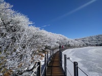 28일 한라산 사라오름 산정호수 - 뽐뿌:등산포럼 28일 한라산 사라오름 산정호수
